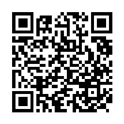 Puneville qr code