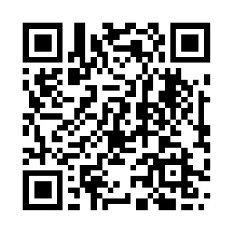 Puneville qr code